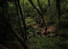 B IMG 2872